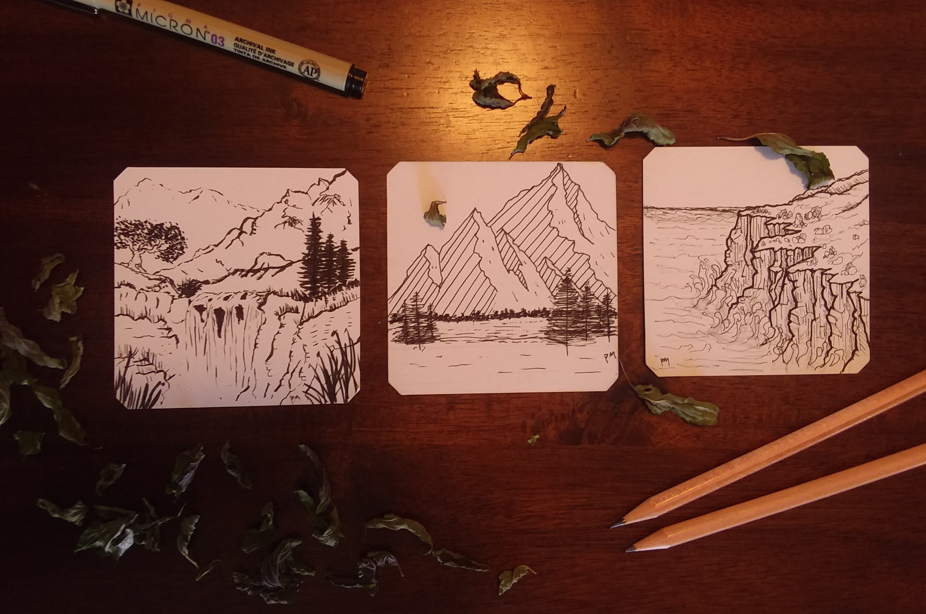 Creative Commons License